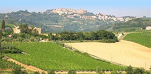 Montepulciano